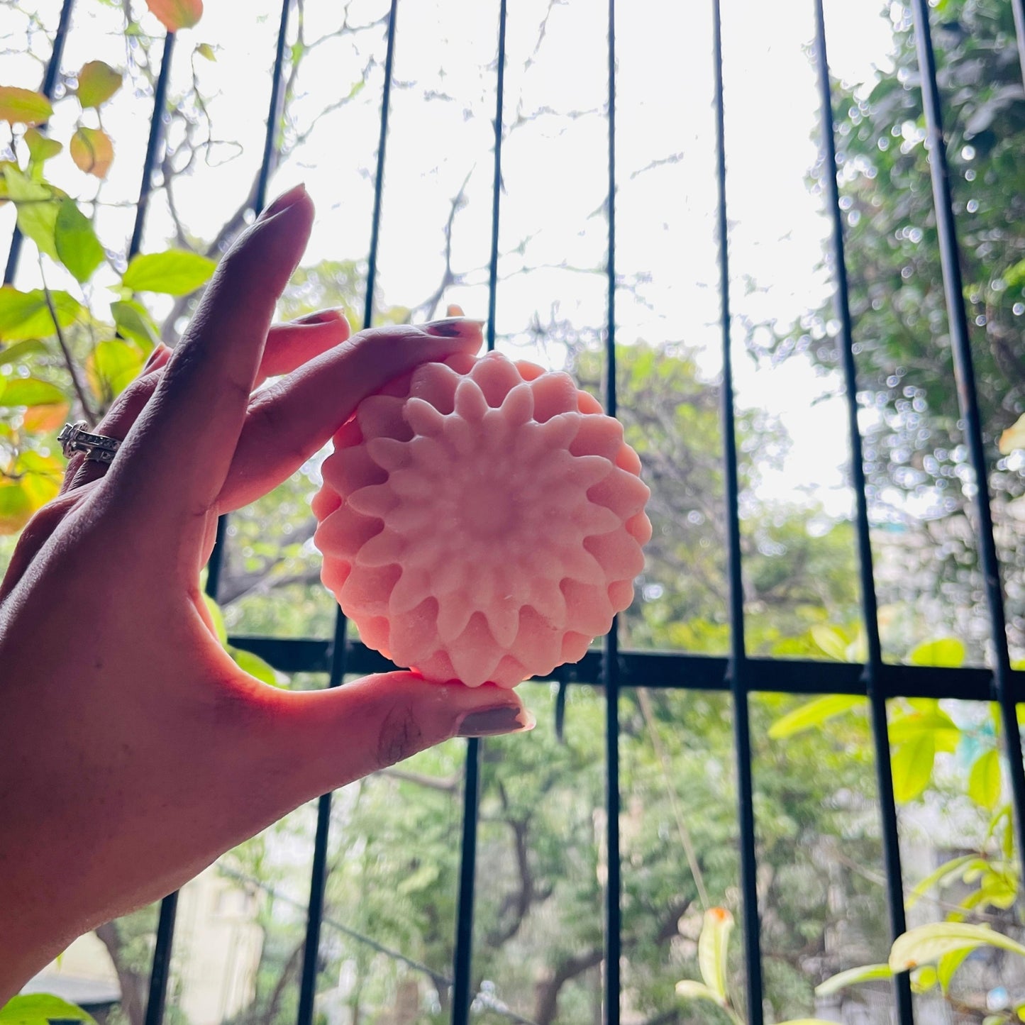 Round Shampoo Bar with natural ingredients in the background